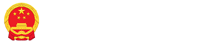 法治政府建设